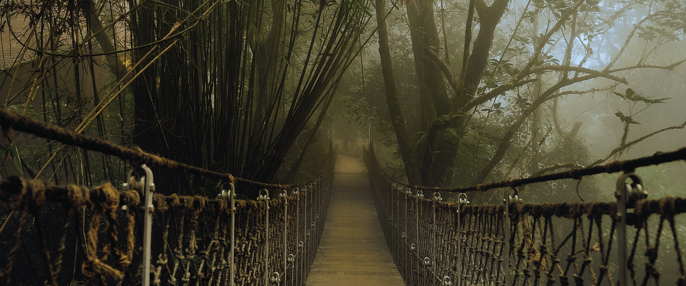 A point of view shot of a rope bridge amidst greenery | Vythiri Resort, Wayanad